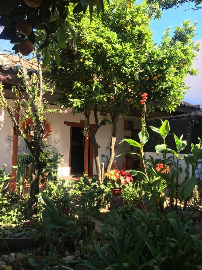 Hostel La Chulada San Cristóbal de Las Casas Exterior foto